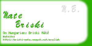 mate briski business card