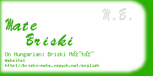mate briski business card